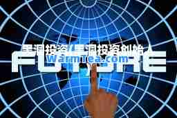 黑洞投资(黑洞投资创始人)