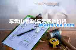 车云山毛尖(车云茶叶价格)
