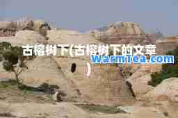 古榕树下(古榕树下的文章)