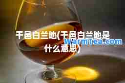 干邑白兰地(干邑白兰地是什么意思)