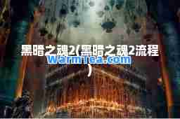黑暗之魂2(黑暗之魂2流程)