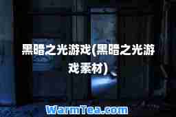 黑暗之光游戏(黑暗之光游戏素材)