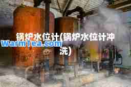 锅炉水位计(锅炉水位计冲洗)