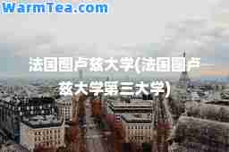 法国图卢兹大学(法国图卢兹大学第三大学)