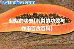 刺梨的功效(刺梨的功效与作用百度百科)