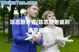 陈志朋老婆(陈志朋老婆到底是谁啊)