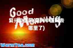 复兴中医网(复兴中医网去哪里了)