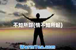不知所踪(情不知所起)