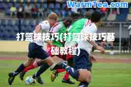 打篮球技巧(打篮球技巧基础教程)