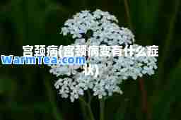 宫颈病(宫颈病变有什么症状)
