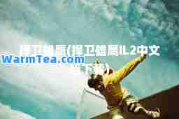 捍卫雄鹰(捍卫雄鹰IL2中文版下载)