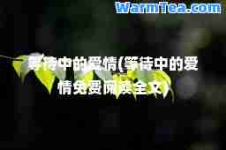 等待中的爱情(等待中的爱情免费阅读全文)