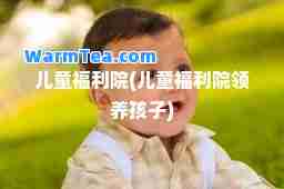 儿童福利院(儿童福利院领养孩子)