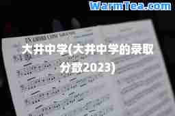 大井中学(大井中学的录取分数2023)