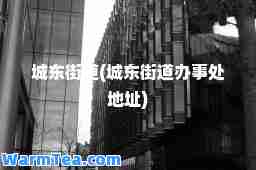 城东街道(城东街道办事处地址)