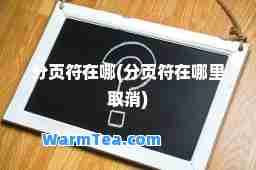 分页符在哪(分页符在哪里取消)