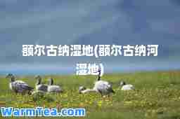 额尔古纳湿地(额尔古纳河湿地)
