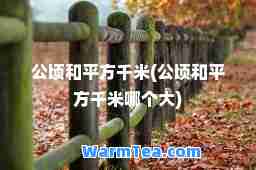 公顷和平方千米(公顷和平方千米哪个大)