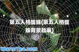 第五人格蜘蛛(第五人格蜘蛛背景故事)