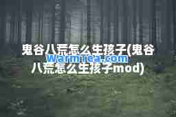 鬼谷八荒怎么生孩子(鬼谷八荒怎么生孩子mod)