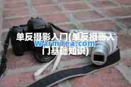 单反摄影入门(单反摄影入门基础知识)