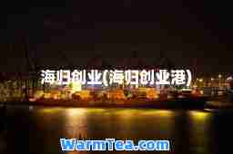 海归创业(海归创业港)