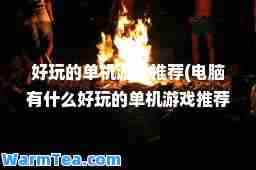 好玩的单机游戏(电脑有什么好玩的单机游戏)