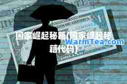 国家崛起秘籍(国家崛起秘籍代码)