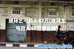 迪拜乞丐月入47万(迪拜乞丐月入47万怎么样)