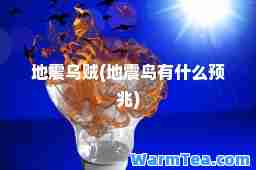 地震乌贼(地震鸟有什么预兆)