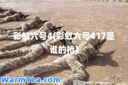 彩虹六号4(彩虹六号417是谁的枪)