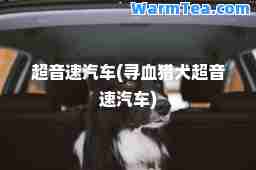 超音速汽车(寻血猎犬超音速汽车)