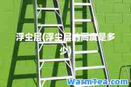 浮尘层(浮尘层的高度是多少)