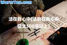 法在我心中(法制在我心中征文500字以上)