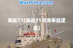 海巡11(海巡11号海事巡逻船)