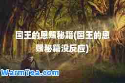 国王的恩赐秘籍(国王的恩赐秘籍没反应)