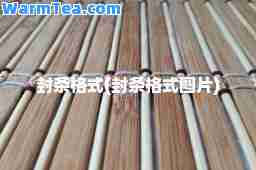 封条格式(封条格式图片)