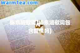 拆东墙歌词(拆东墙歌词包含爱情吗)