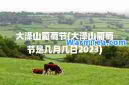 大泽山葡萄节(大泽山葡萄节是几月几日2023)
