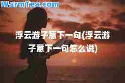 浮云游子意下一句(浮云游子意下一句怎么说)