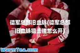 德军总部旧血脉(德军总部旧血脉狙击镜怎么开)