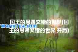 国王的恩赐交错的世界(国王的恩赐交错的世界 开局)