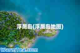 浮鹰岛(浮鹰岛地图)