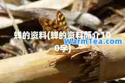 蝉的资料(蝉的资料简介100字)