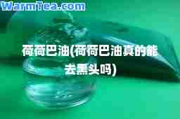 荷荷巴油(荷荷巴油真的能去黑头吗)