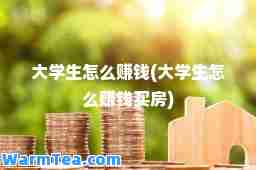 大学生怎么赚钱(大学生怎么赚钱买房)