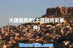 大理国历史(大理国历史事件)
