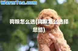 狗粮怎么选(狗粮怎么选择总结)