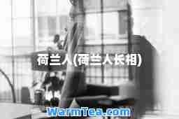 荷兰人(荷兰人长相)