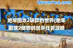 地牢围攻2破碎的世界(地牢围攻2破碎的世界任务攻略)
